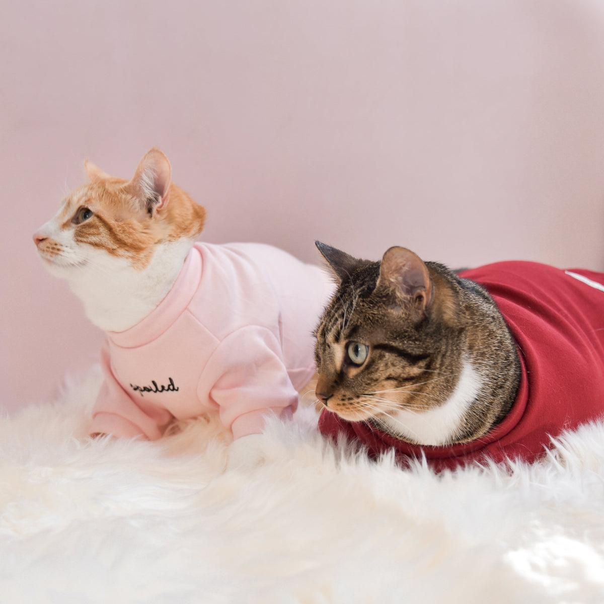 Spoiled Mock Neck Shirt - Blush