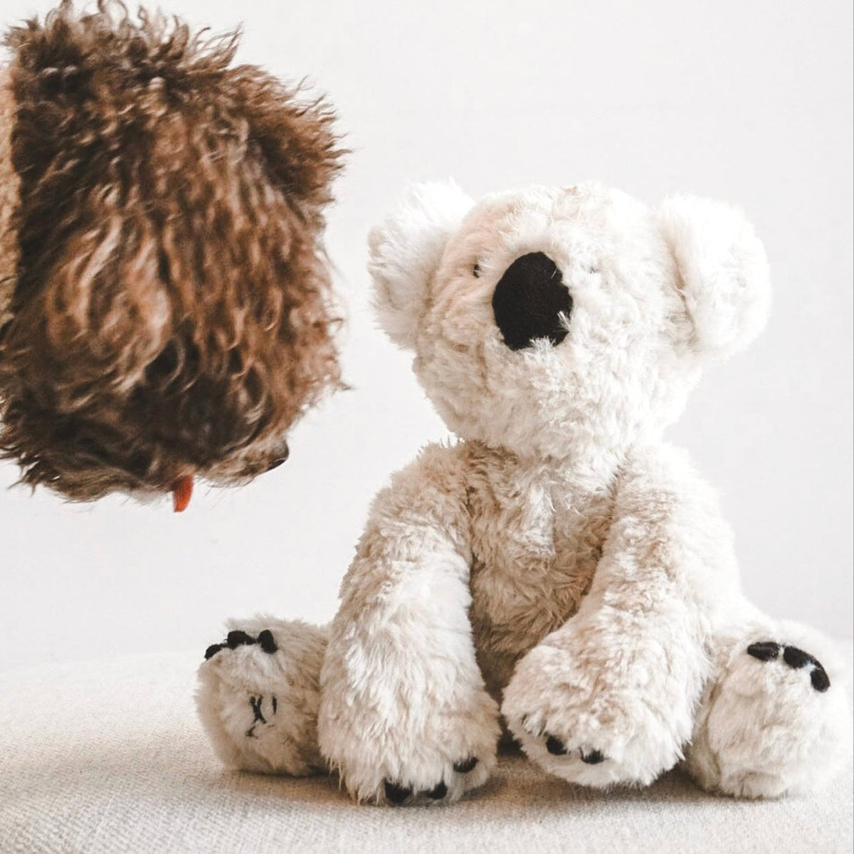 Set de peluches Koko – Dúo de koalas (Mini y Maxi)
