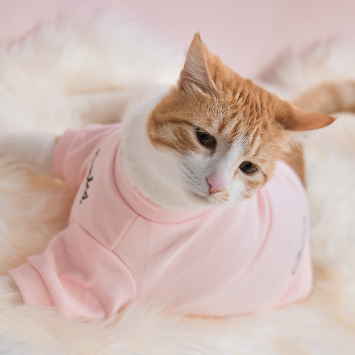Spoiled Mock Neck Shirt - Blush