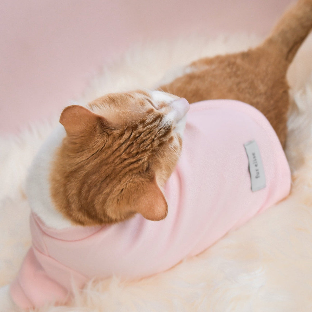 Spoiled Mock Neck Shirt - Blush