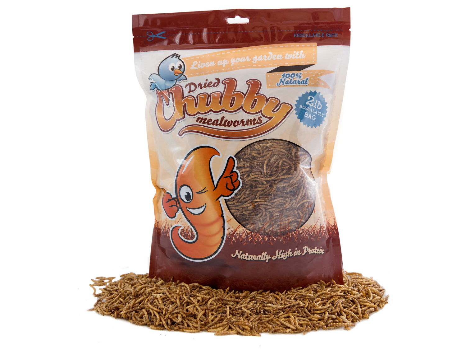 Gusanos de harina secos Chubby de 2 lb – Proteína 100% natural