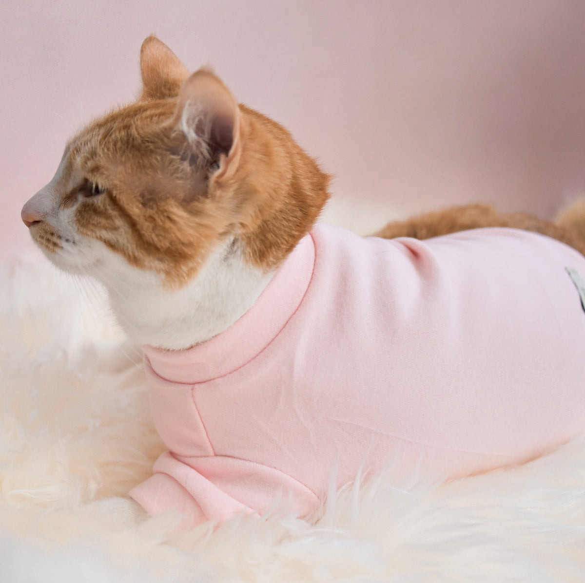 Spoiled Mock Neck Shirt - Blush