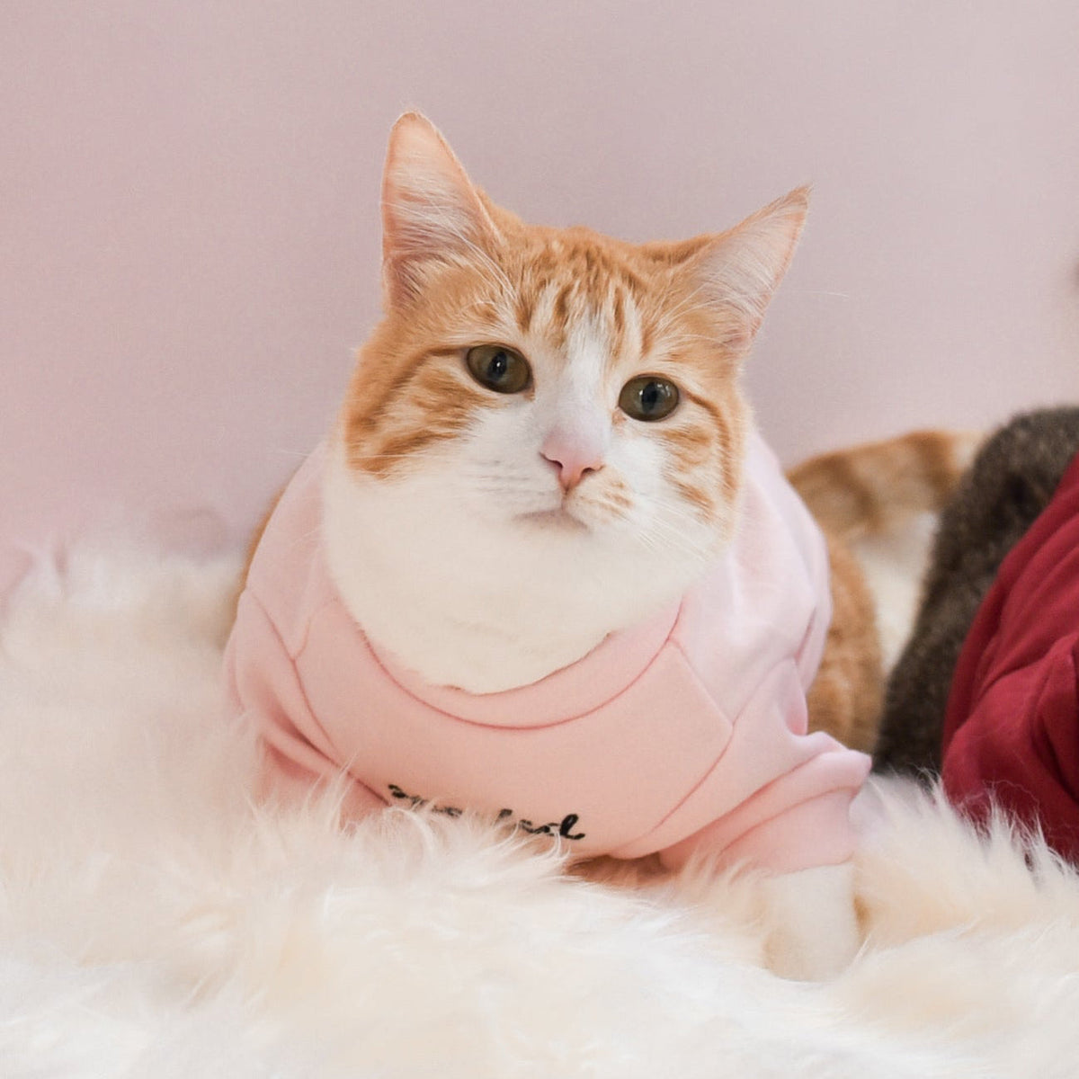 Spoiled Mock Neck Shirt - Blush