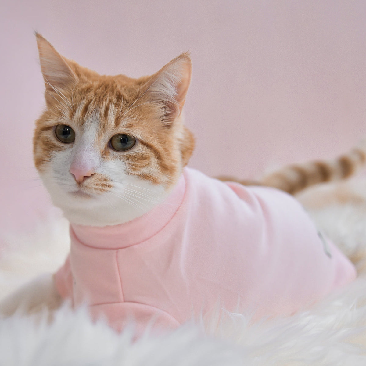 Spoiled Mock Neck Shirt - Blush