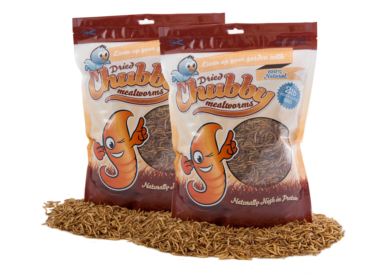 Gusanos de harina secos Chubby de 4 lb (paquete de 2)