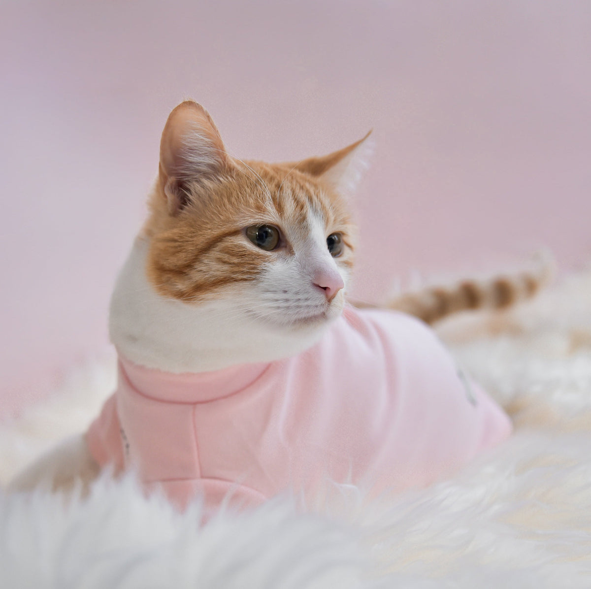 Spoiled Mock Neck Shirt - Blush