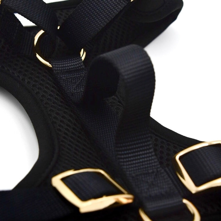 Elise Harness - Negro