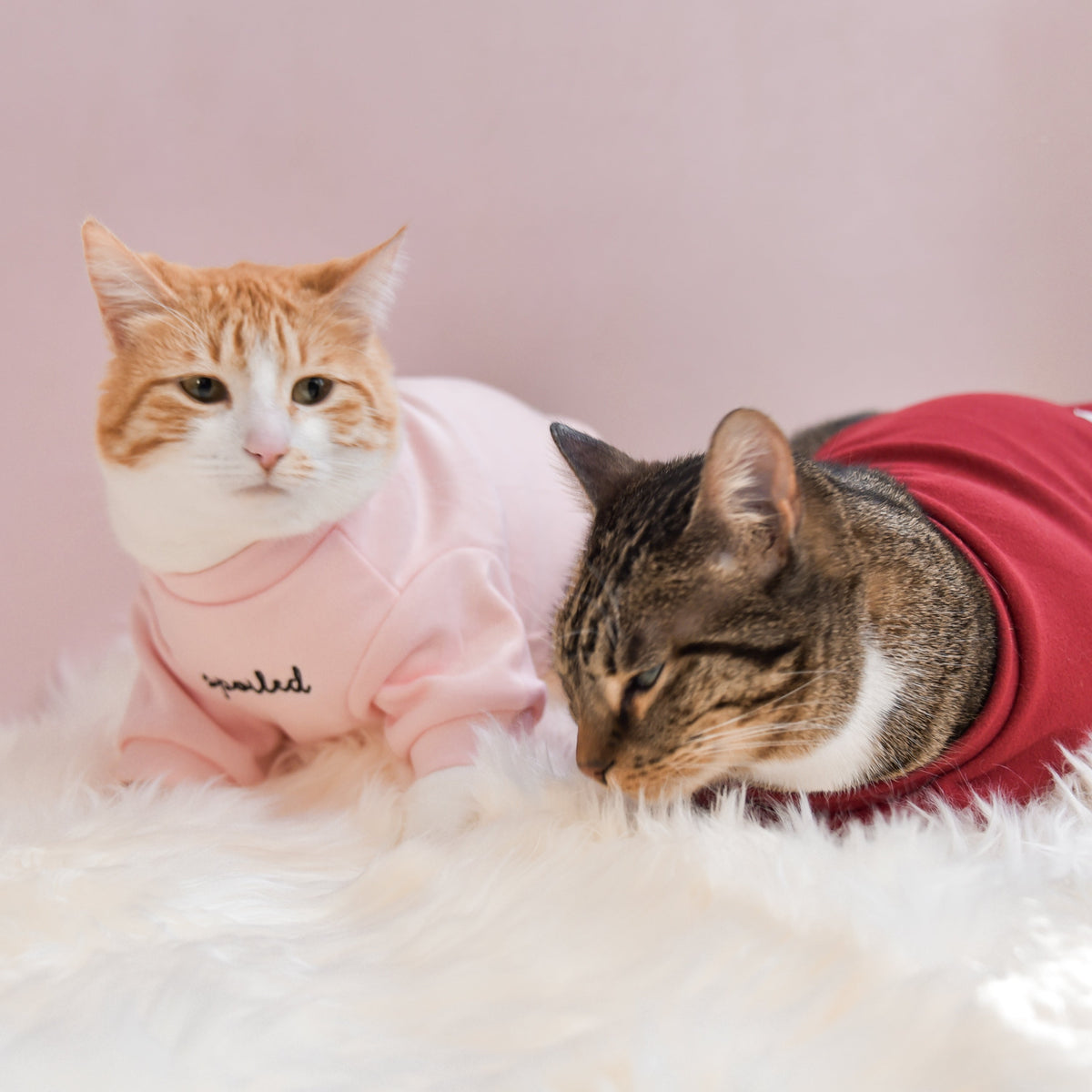 Spoiled Mock Neck Shirt - Blush