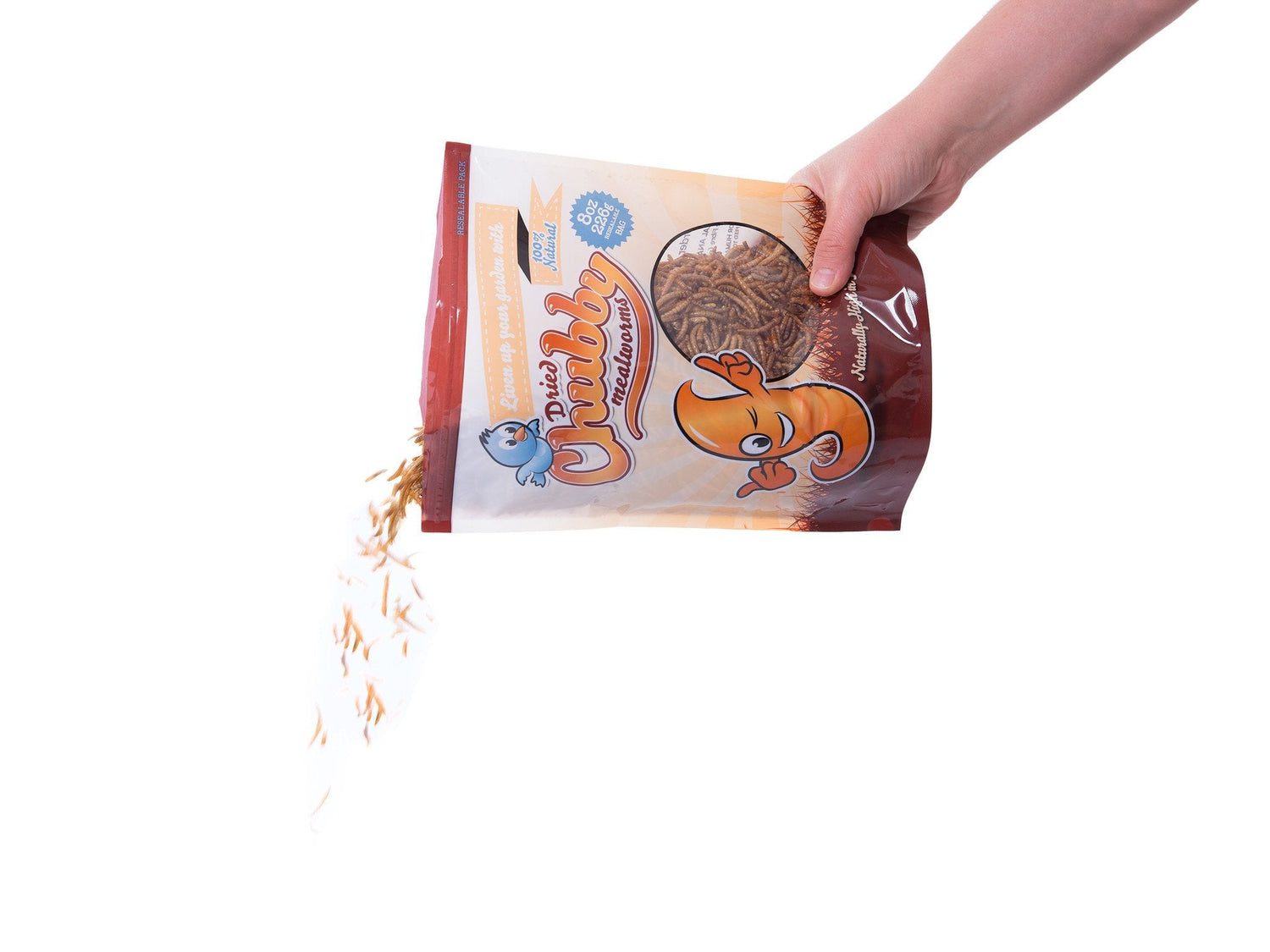 Gusanos de harina secos Chubby de 2 lb – Proteína 100% natural