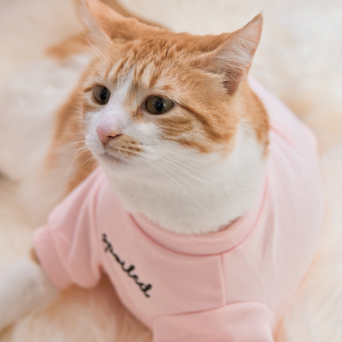 Spoiled Mock Neck Shirt - Blush