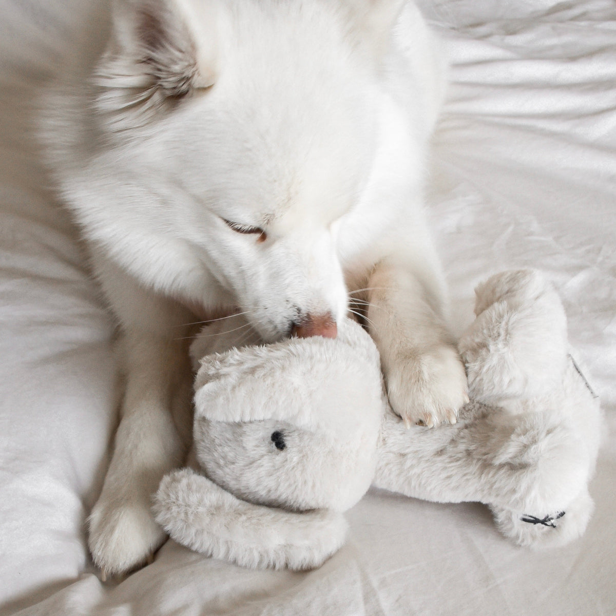 Ella Plushie