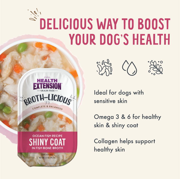 Broth-Licious Ocean Fish in Bone Broth – Shiny Coat Recipe