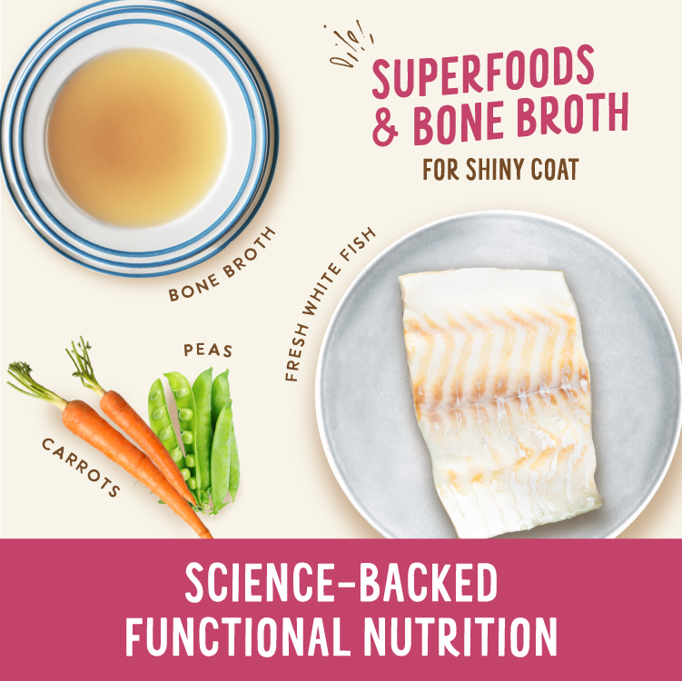Broth-Licious Ocean Fish in Bone Broth – Shiny Coat Recipe