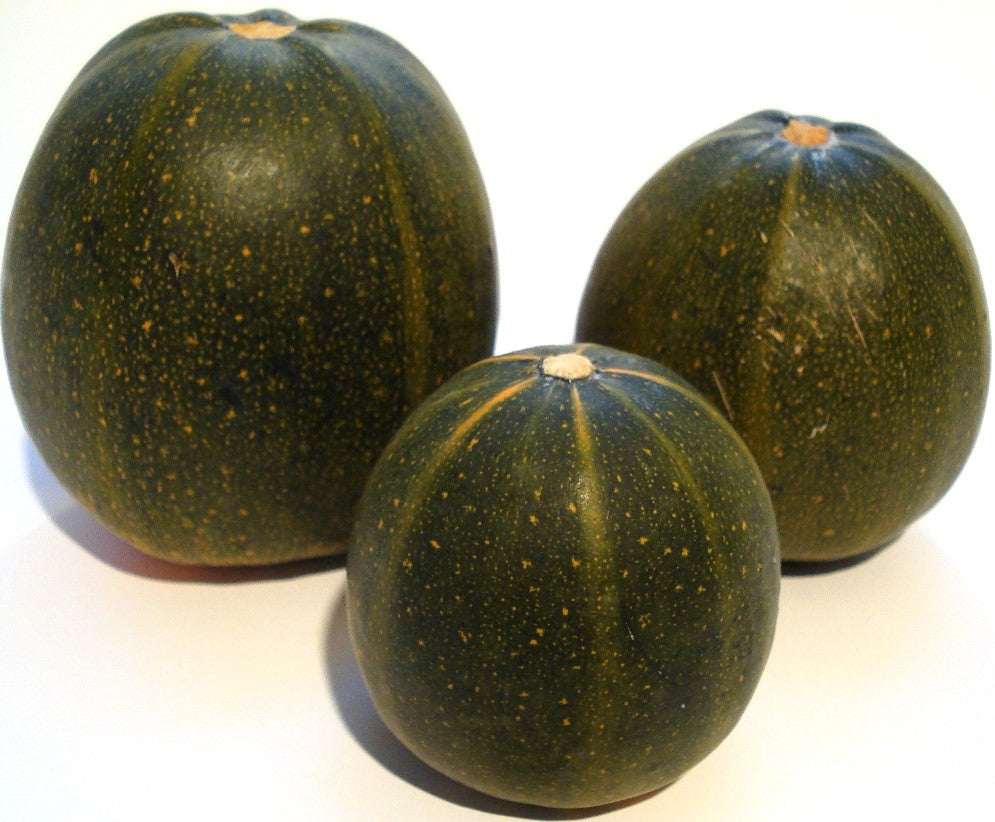 35 Calabaza dulce TATUME Cucurbita Pepo Calabaza Calabacita Semillas de calabacín mexicano