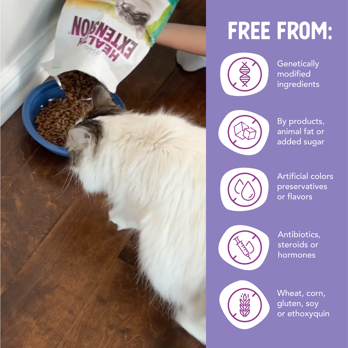 Chicken & Brown Rice Recipe – All Life Stages Dry Cat Food