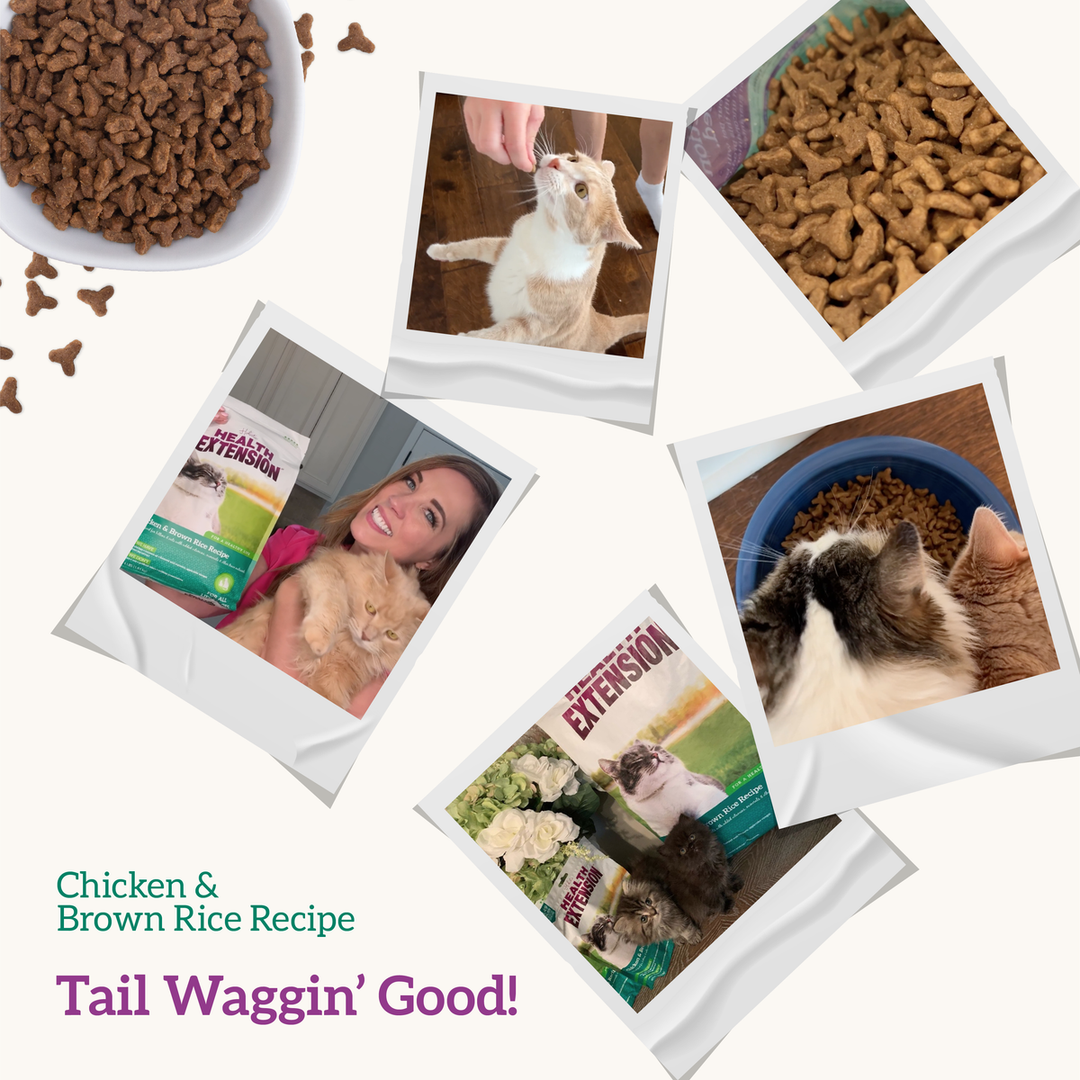 Chicken & Brown Rice Recipe – All Life Stages Dry Cat Food