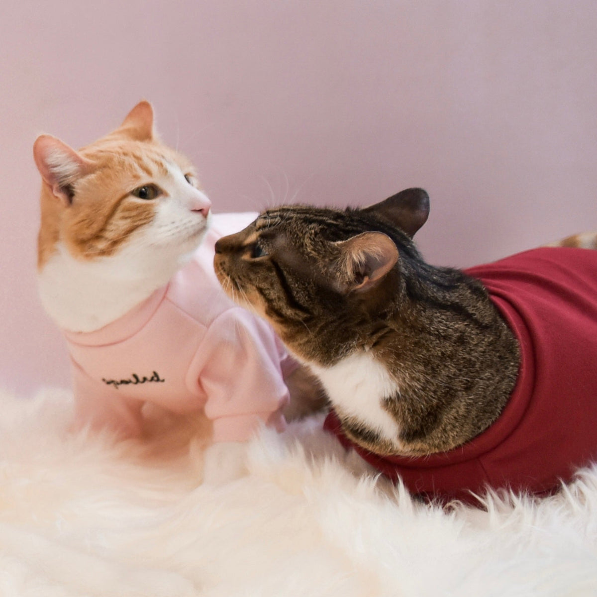 Spoiled Mock Neck Shirt - Blush