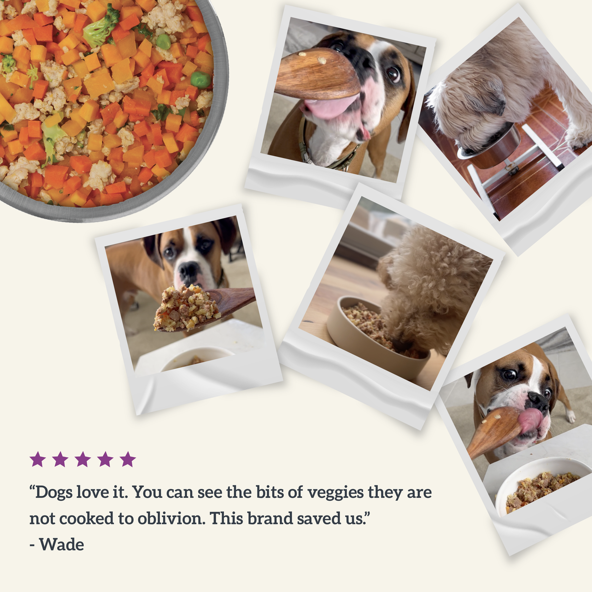 Gently Cooked Grain Free Vegetarian – Fresh Simmered Superfood Medley