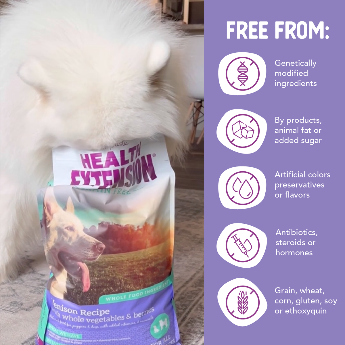 Grain Free Venison & Sweet Potato Dry Dog Food