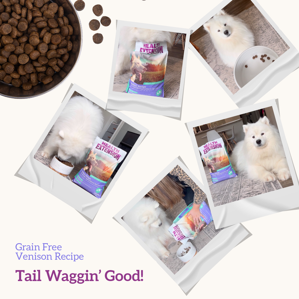 Grain Free Venison & Sweet Potato Dry Dog Food