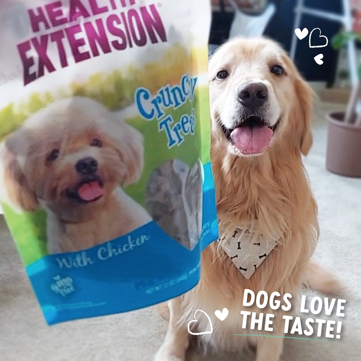 Crunchy Heart Shaped Treats – Wholesome Chicken Recipe