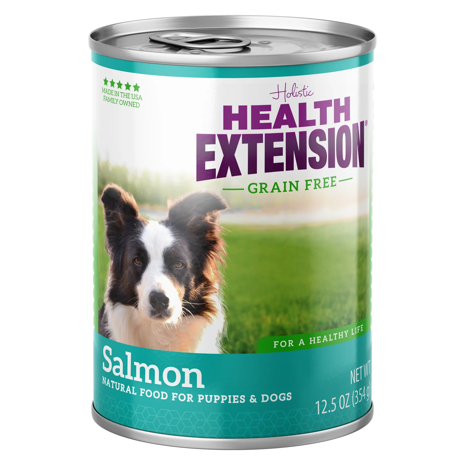 Grain Free 95% Salmon – Premium Protein & Hydration Boost
