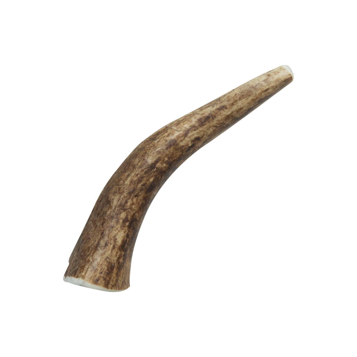 Natural Whole Elk Antler Dog Chews
