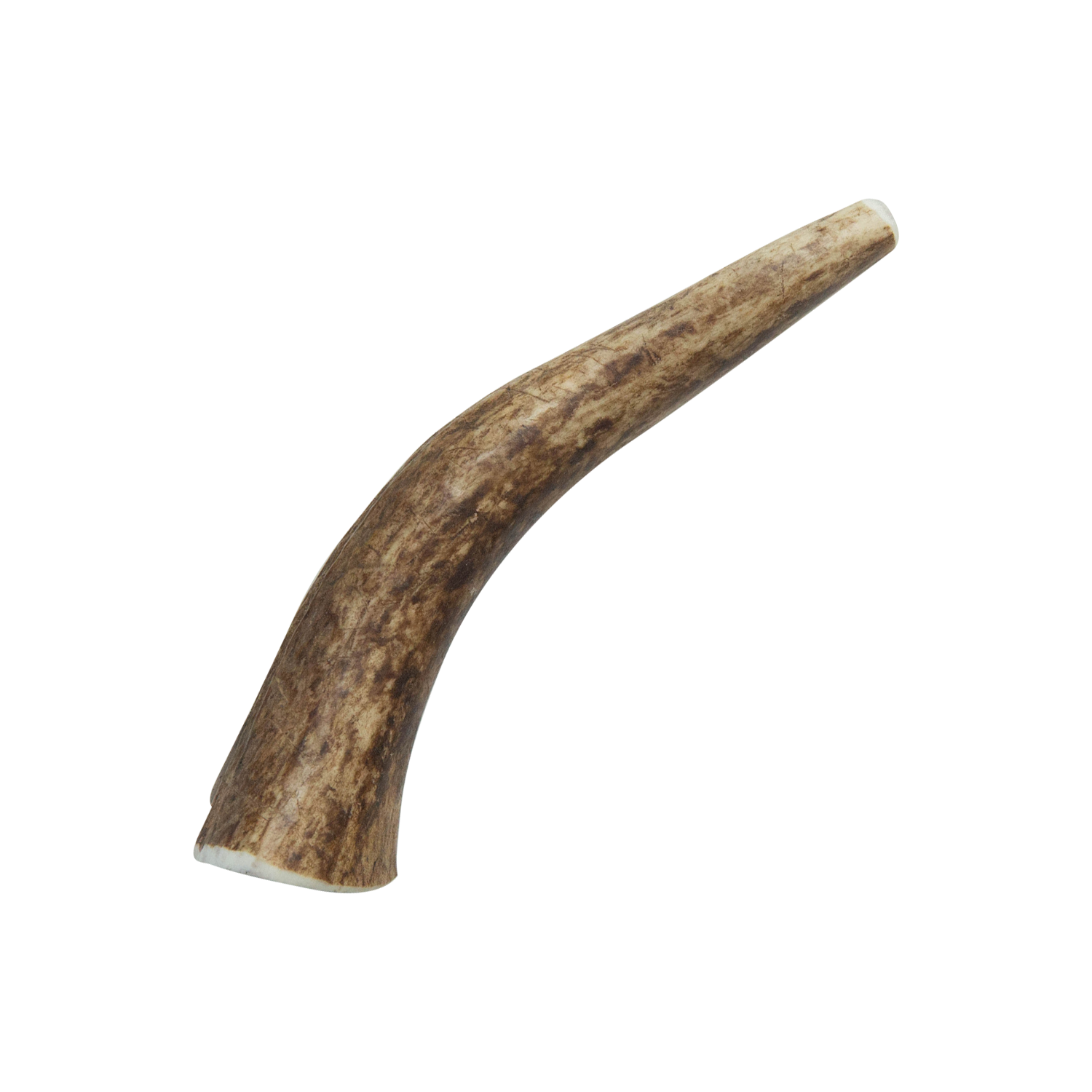 Natural Whole Elk Antler Dog Chews