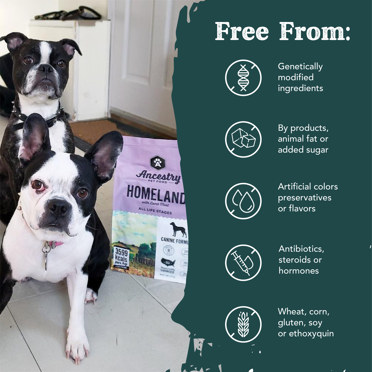 Homeland Lamb Meal & Sweet Potato Dog Food