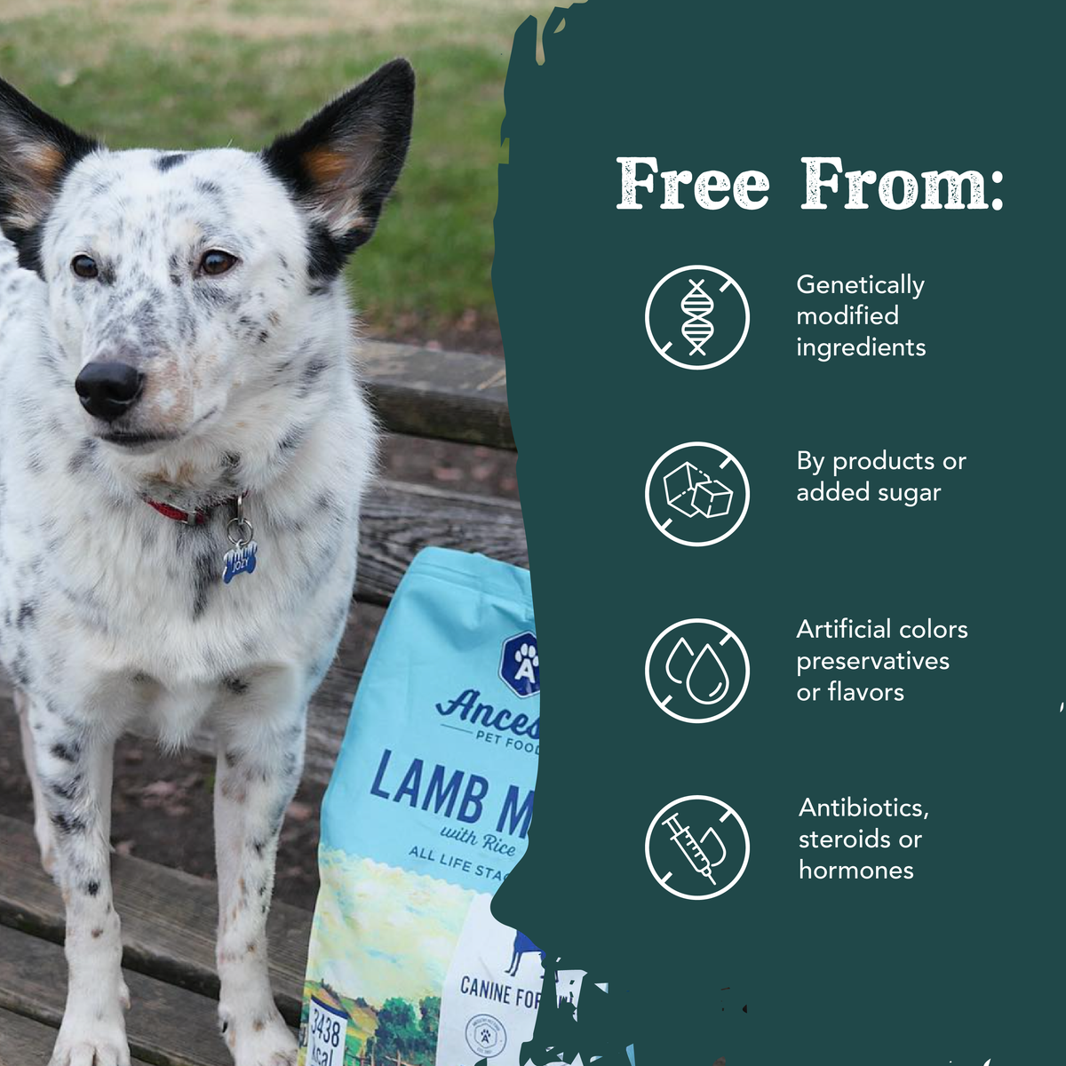 Alimento para Perros de Harina de Cordero y Arroz Integral