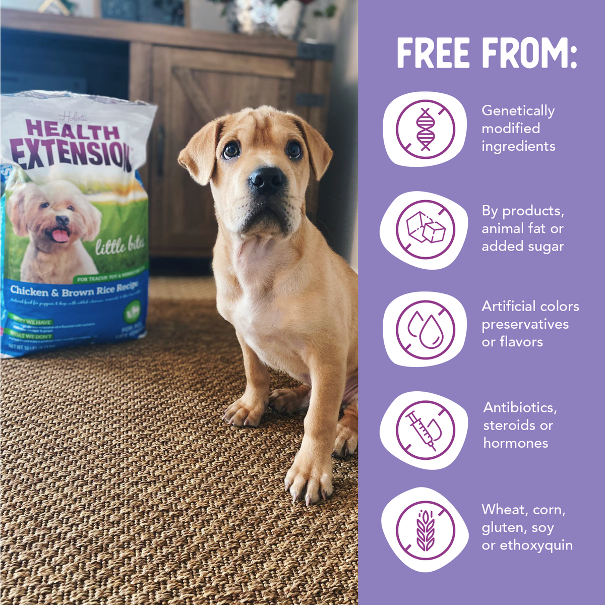 Little Bites Chicken & Brown Rice Recipe – Small Breed Formula