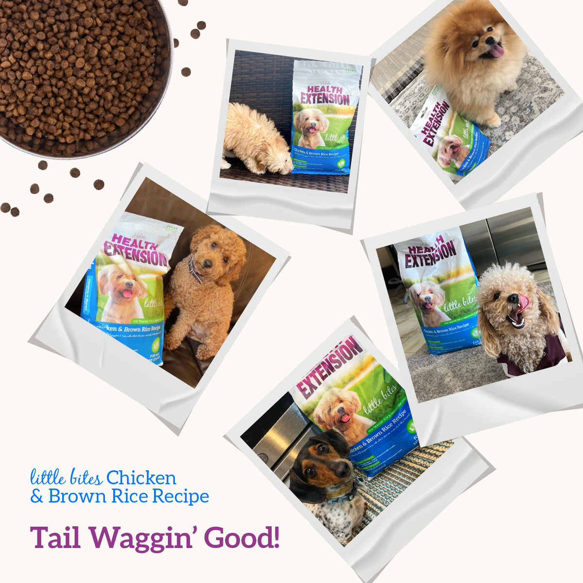 Little Bites Chicken & Brown Rice Recipe – Small Breed Formula
