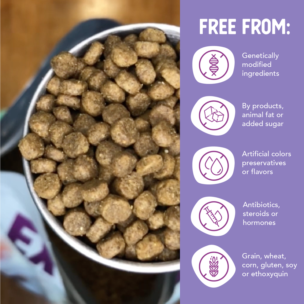 Grain Free Chicken & Turkey Little Bites – High-Protein Foundation