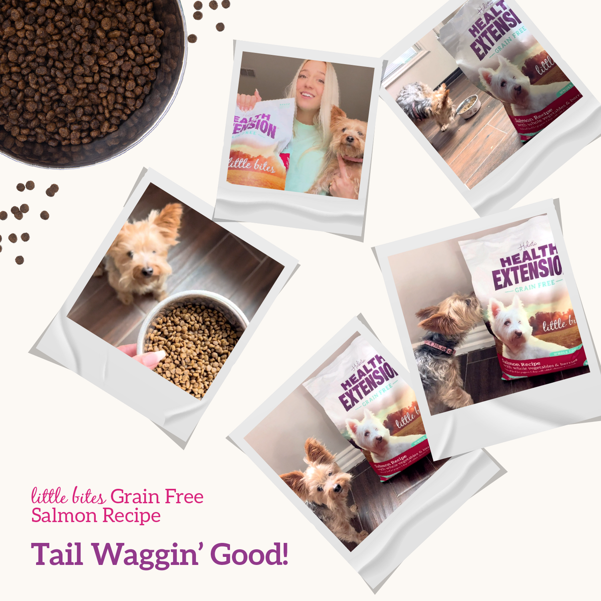 Grain Free Salmon & Sweet Potato Little Bites Dry Dog Food
