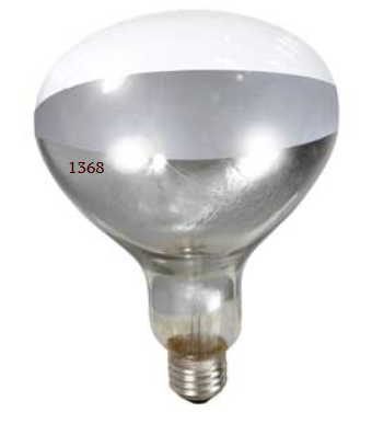 BULB 250 WATT CLEAR