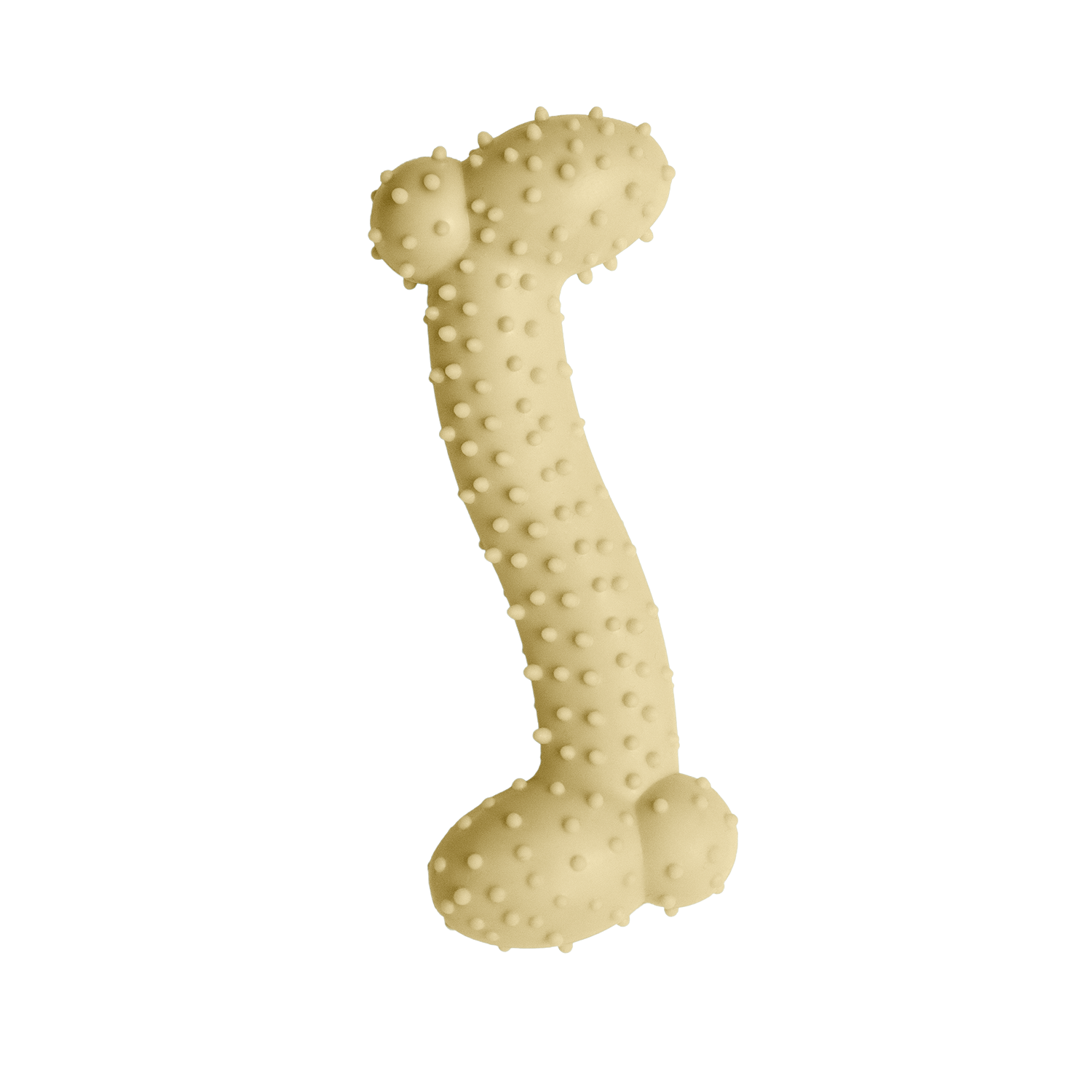 Lil Baby Bone Eco-Friendly Puppy Chew Toy