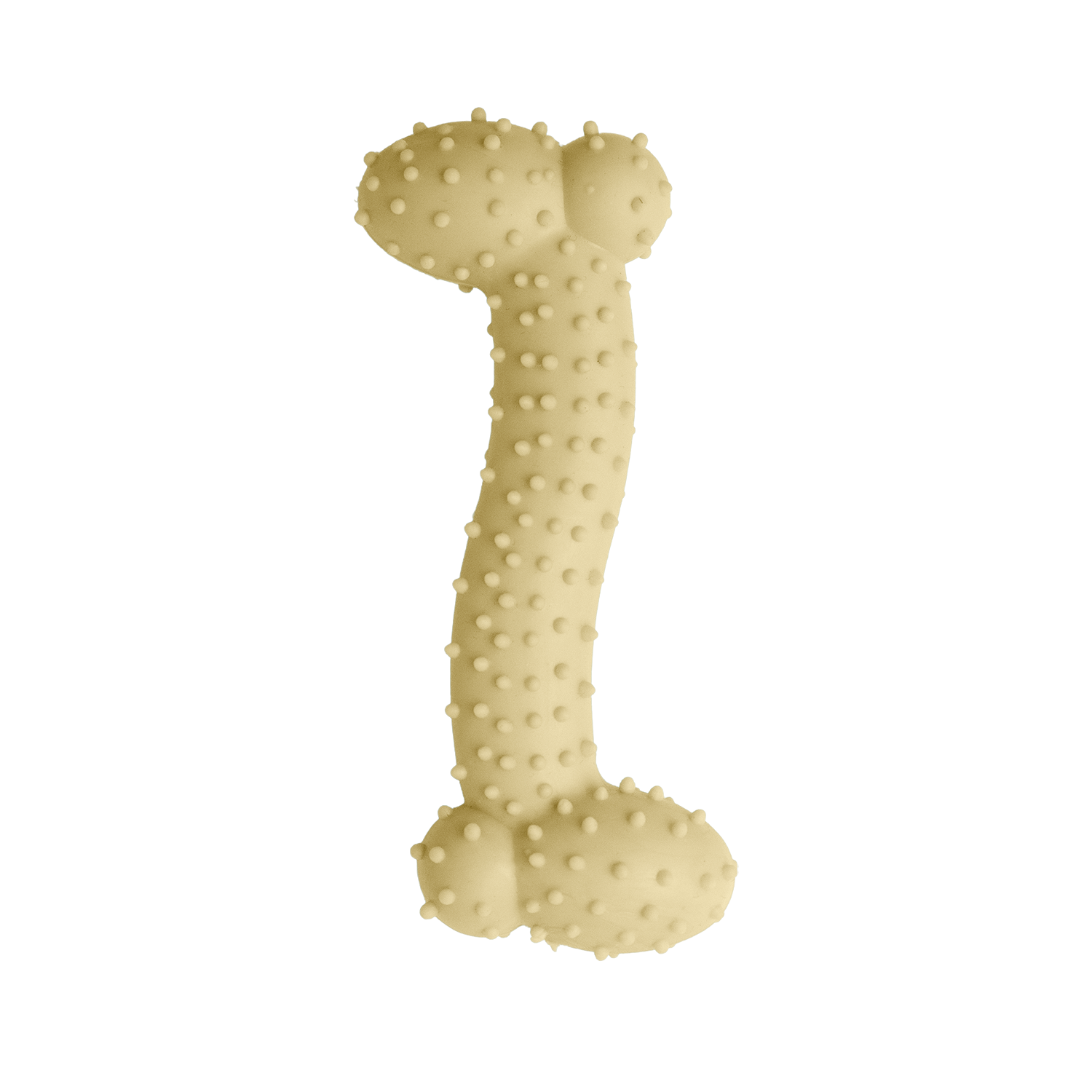 Lil Baby Bone Eco-Friendly Puppy Chew Toy