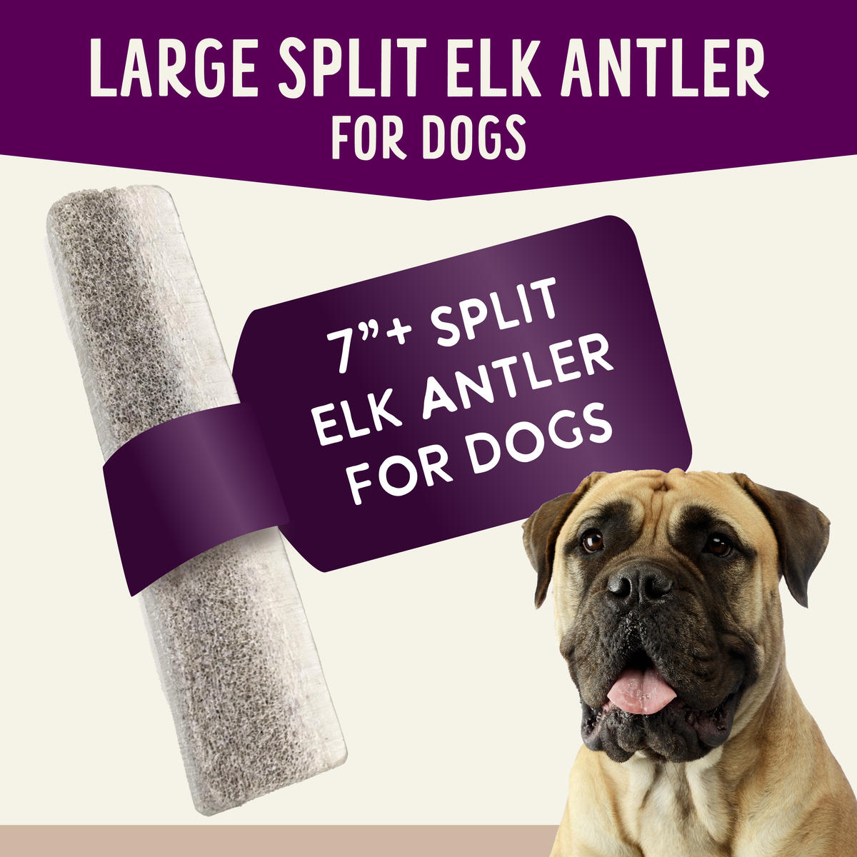 Natural Whole Elk Antler Dog Chews