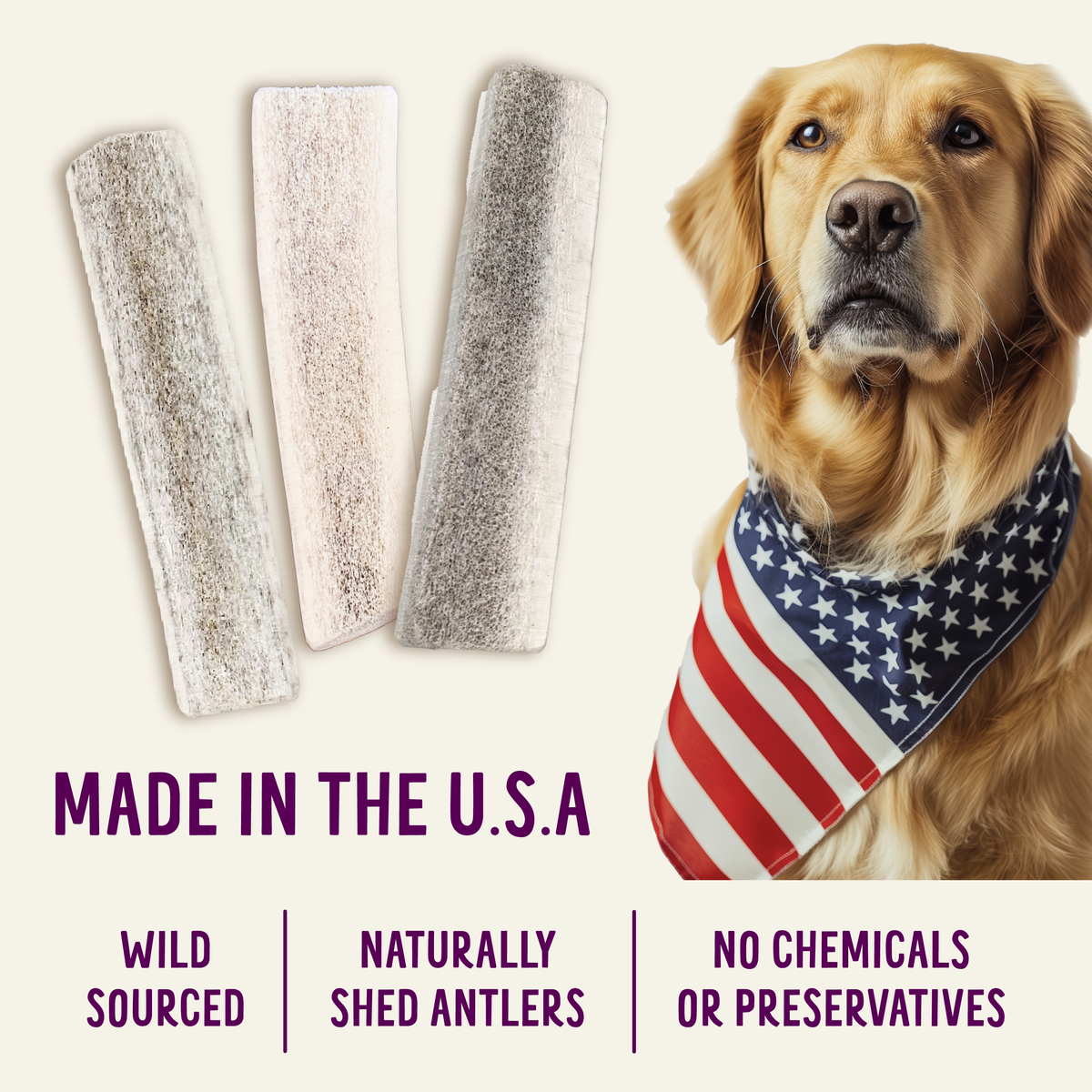 Natural Whole Elk Antler Dog Chews