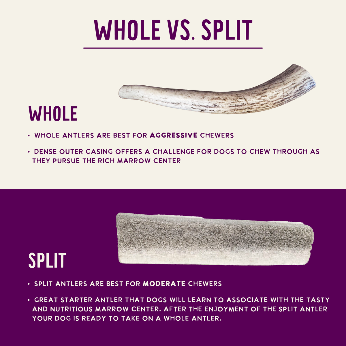 Natural Whole Elk Antler Dog Chews