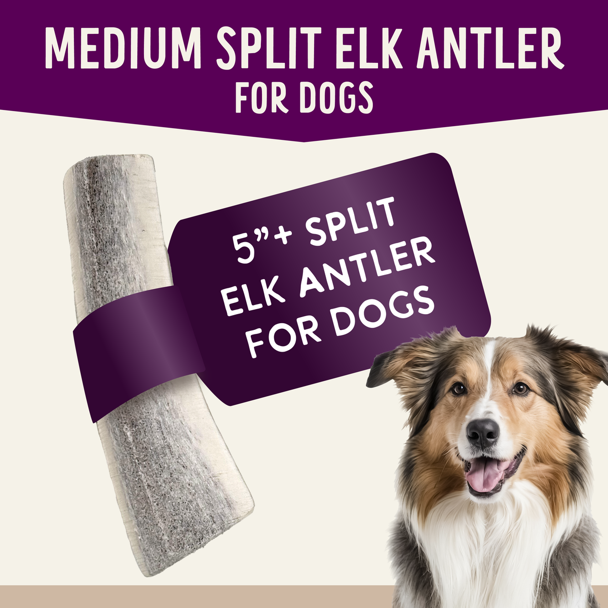 Natural Whole Elk Antler Dog Chews