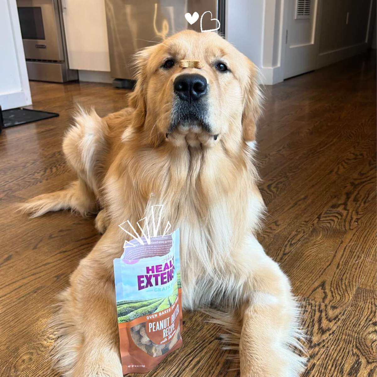 Galletas para Perro Horno con Mantequilla de Cacahuete y Plátano