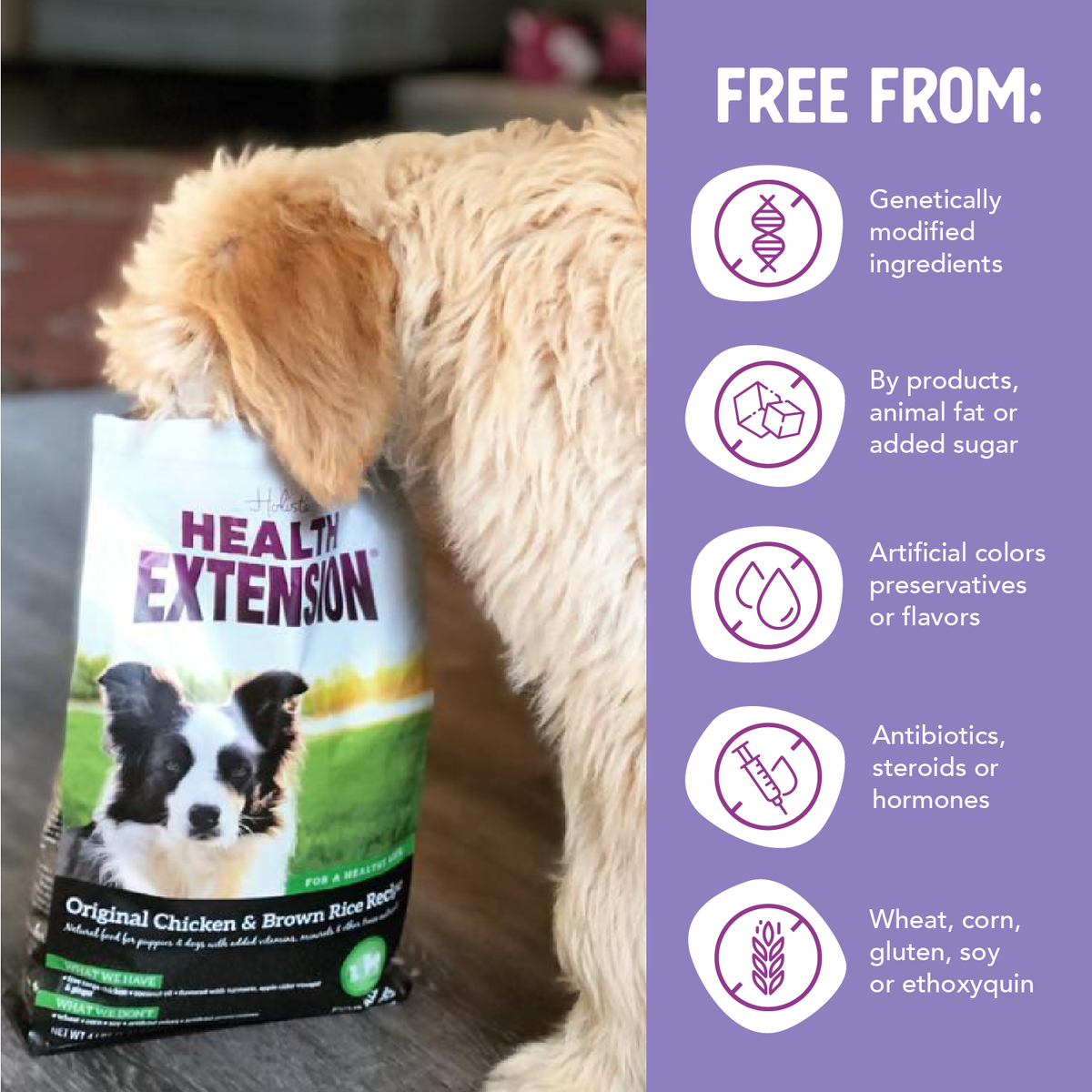 Alimento Seco para Perros Health Extension Original de Pollo y Arroz Integral