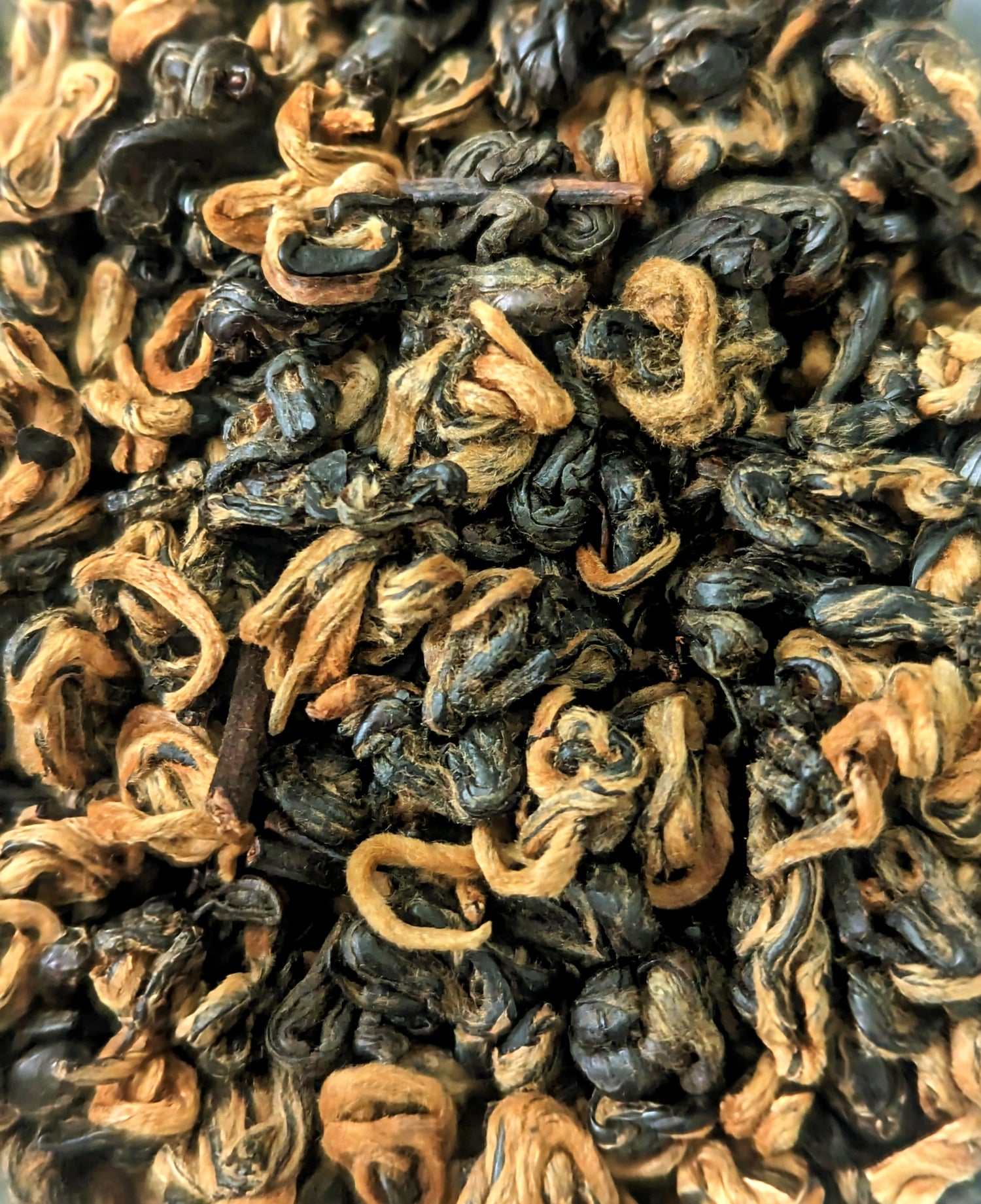 Oro negro - Bi Luo Chun