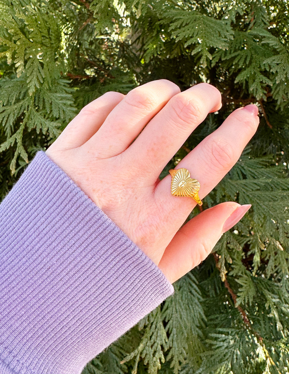 Anillo de corazón radiante