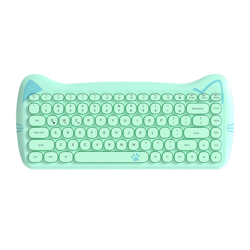 Teclado y ratón inalámbricos Cat