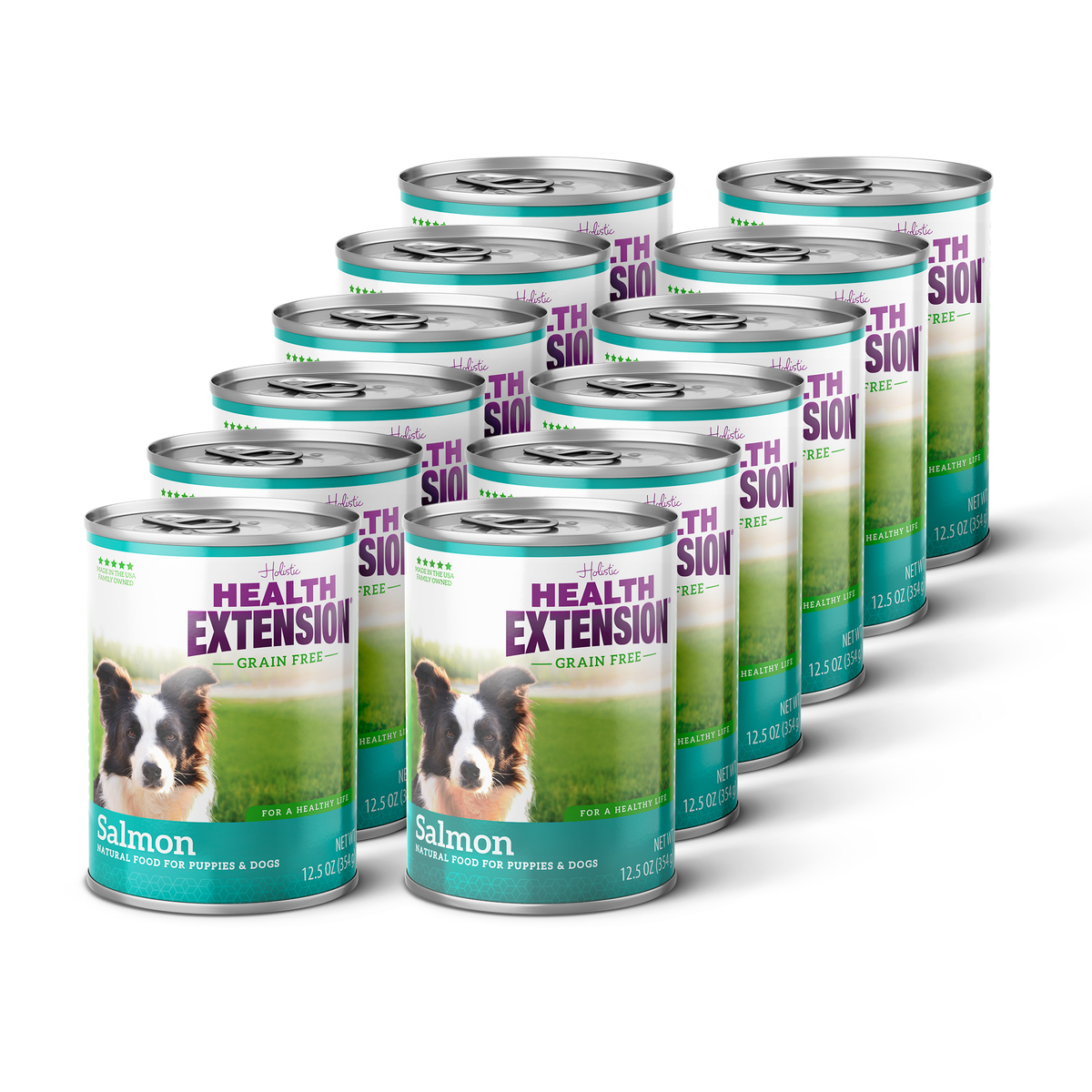 Grain Free 95% Salmon – Premium Protein & Hydration Boost