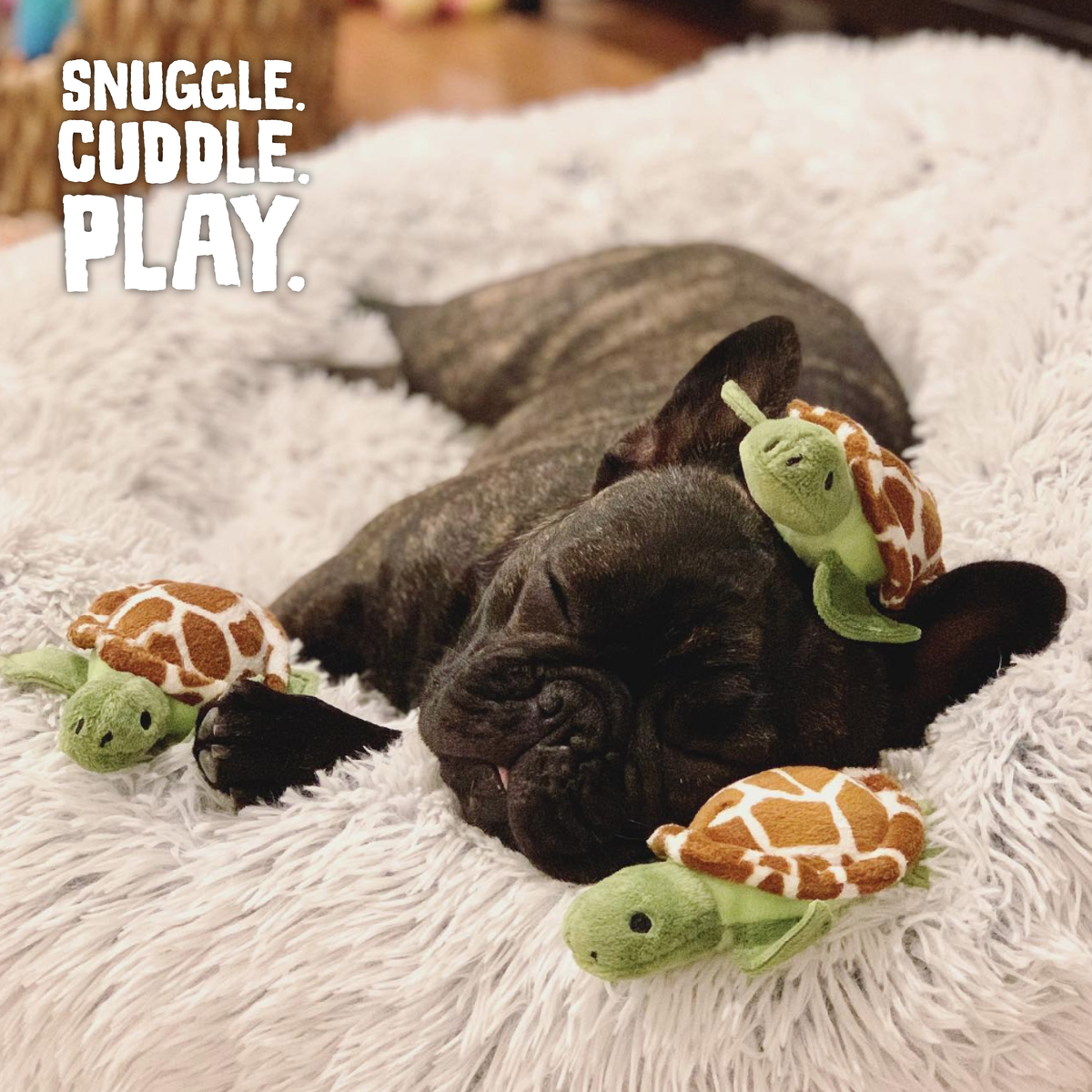 Set de Juguetes Interactivos de Peluche para Perros Hide & Seek Reef