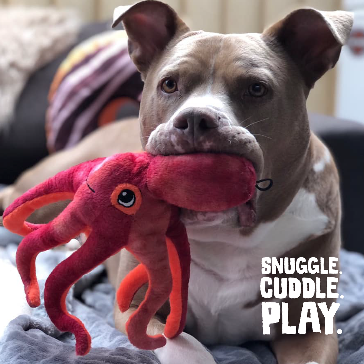 Olivia the Octopus Plush Squeaky Dog Toy