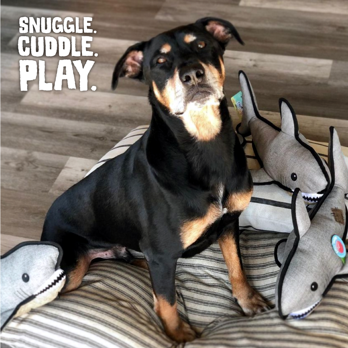 Juguete para Perros Chillón de Peluche Saul el Tiburón
